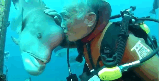 Diver Fish 25 Year Friendship Hiroyuki Arakawa Japan 594ccae02c937__700