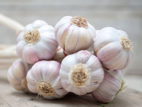 Garlic Braid 1532701804