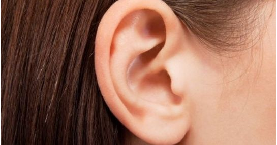 If_you_have_big_ears_it_means_you_are
