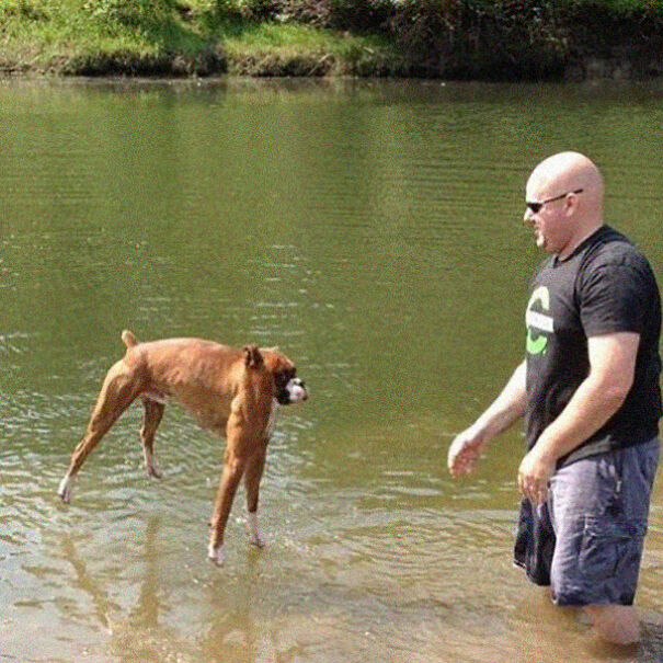 No Neck Funny Animals Photoshop 13