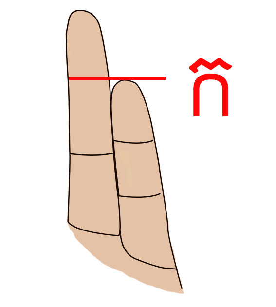 Personality Indicator The Length Of Finger 01