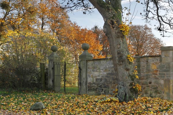 AUTUMN GATE BODYPAINTING