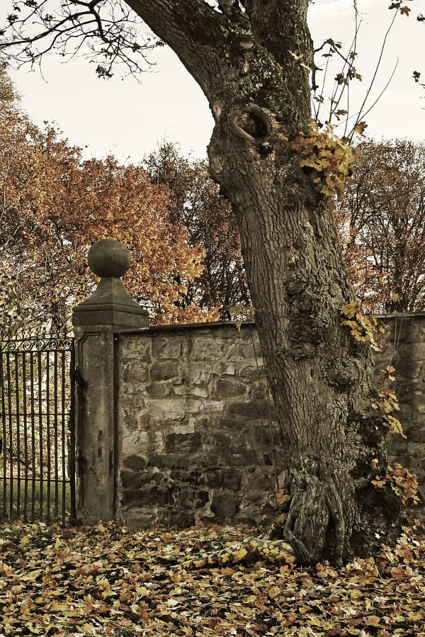 AUTUMN GATE BODYPAINTING