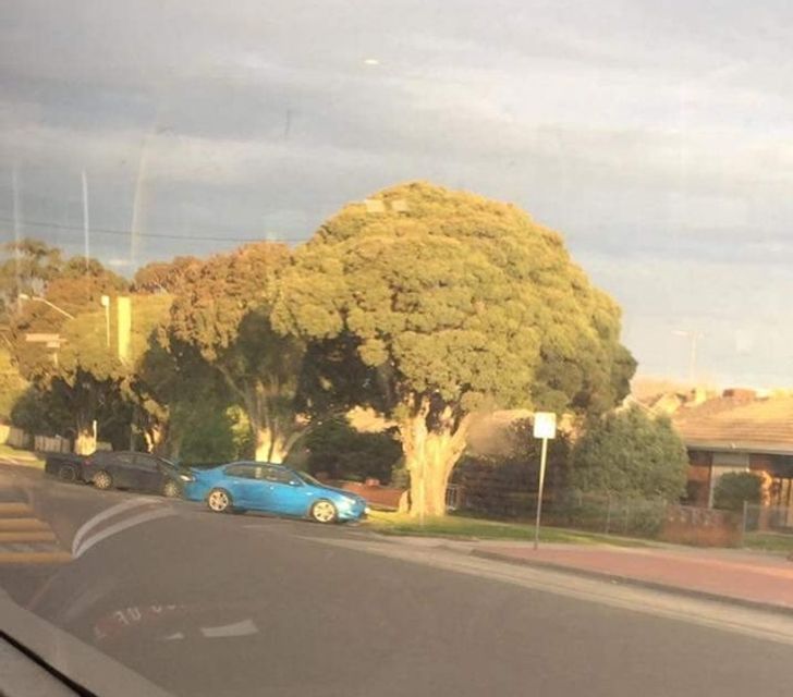 Stupefying Coincidences That Actually Happened 10