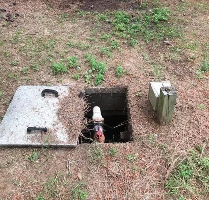 Stupefying Coincidences That Actually Happened 13