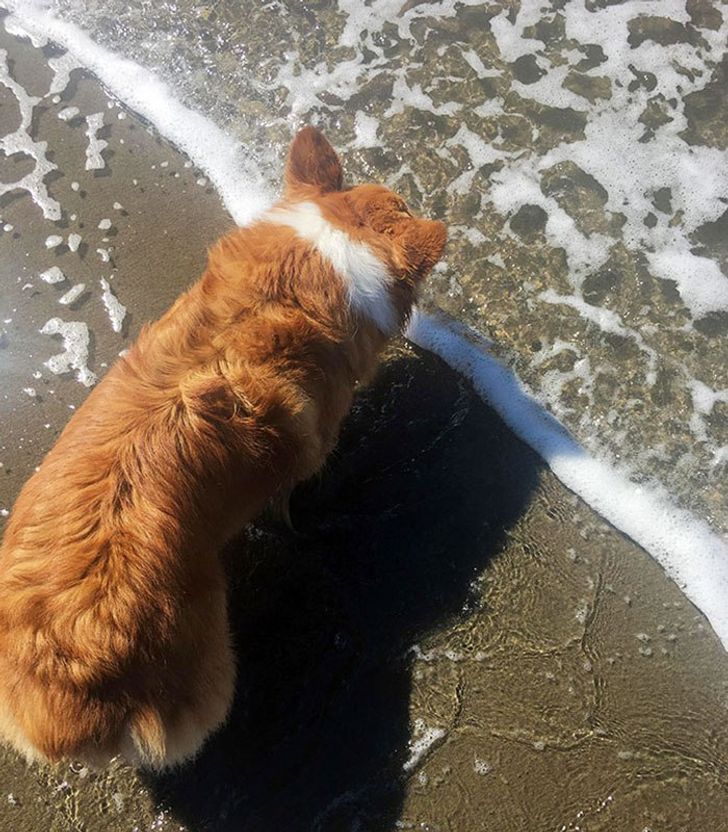 Stupefying Coincidences That Actually Happened 16