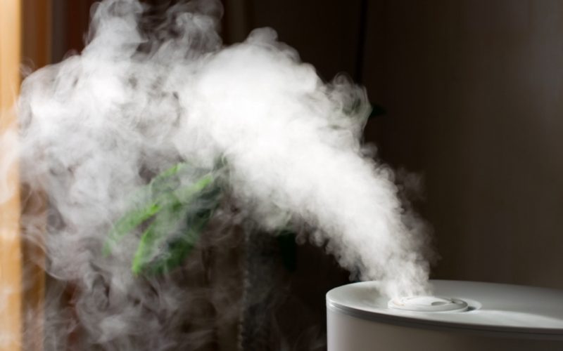 How To Humidify A Room Without A Humidifier E1496397244858