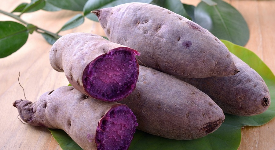 Sweetpotatos Rasmeinews