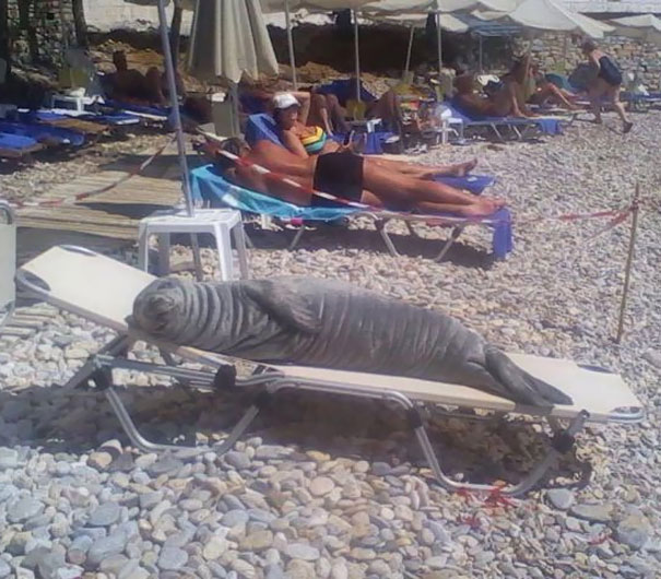 Funny Beach 1