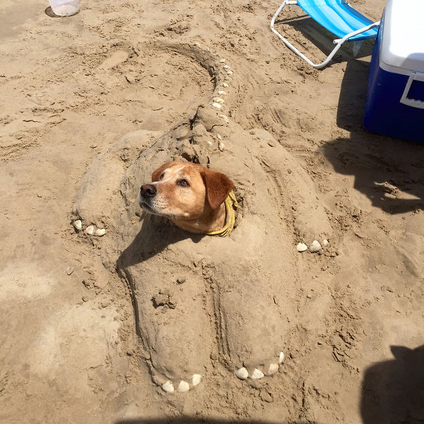 Funny Beach 12
