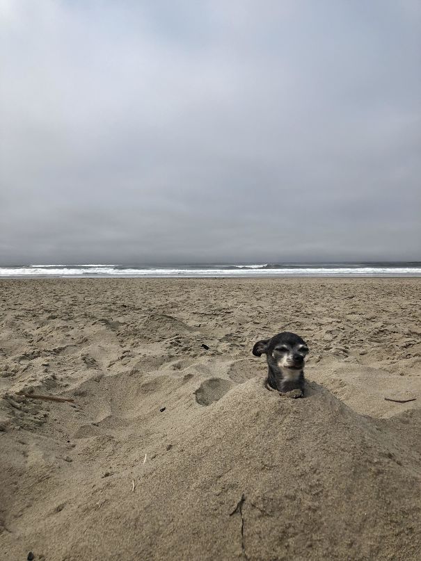 Funny Beach 13