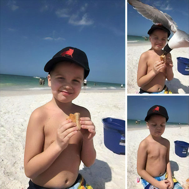 Funny Beach 29