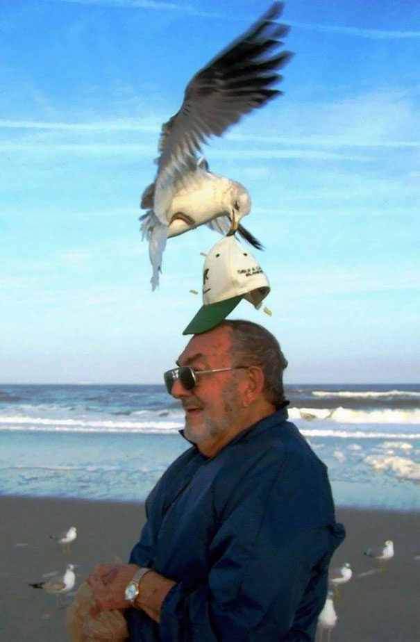 Funny Beach 33