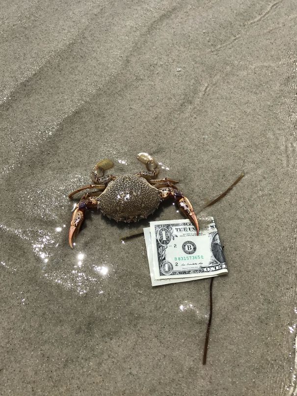 Funny Beach 8