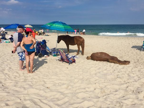 Funny Beach 9