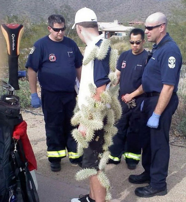 Funny Wtf 8