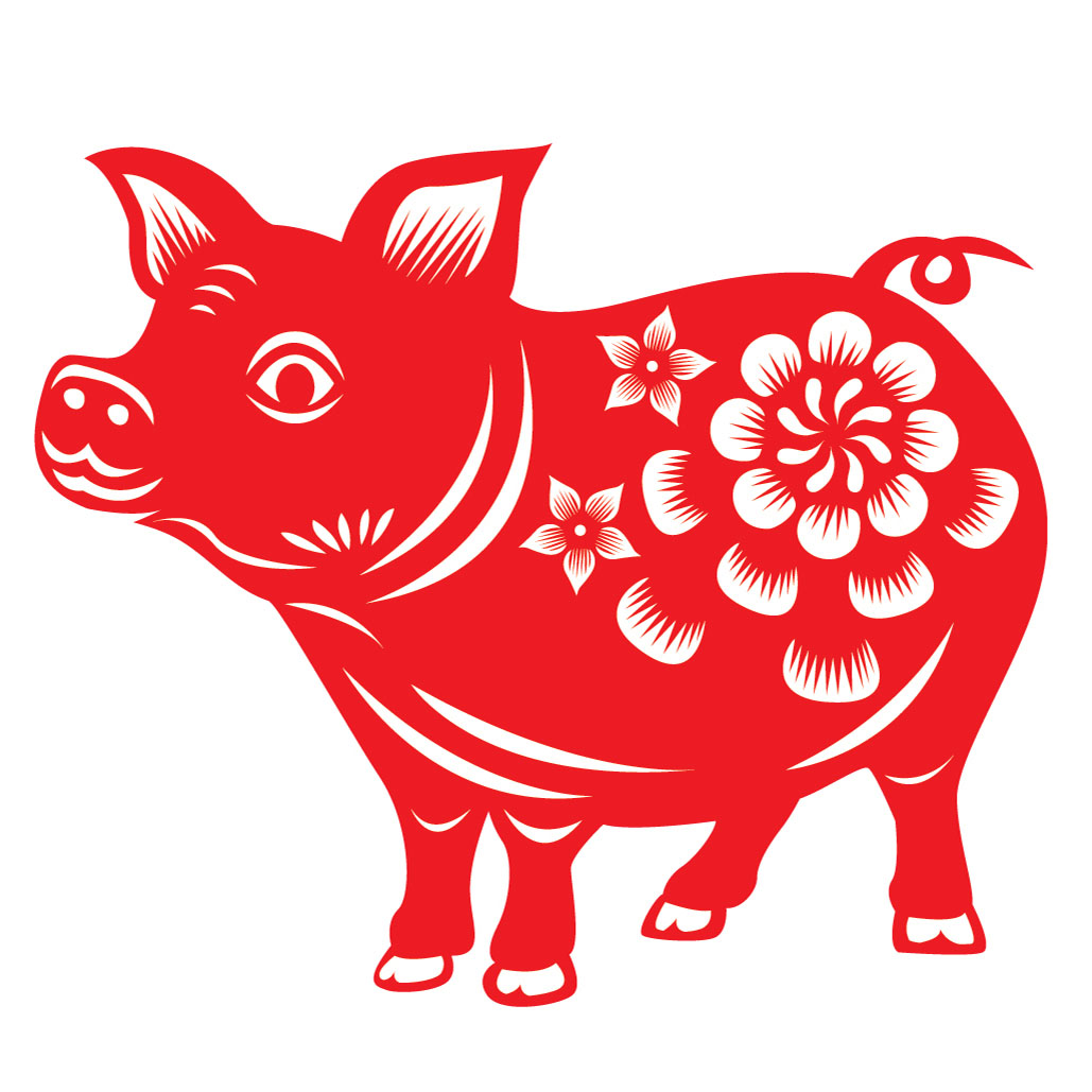 Pig
