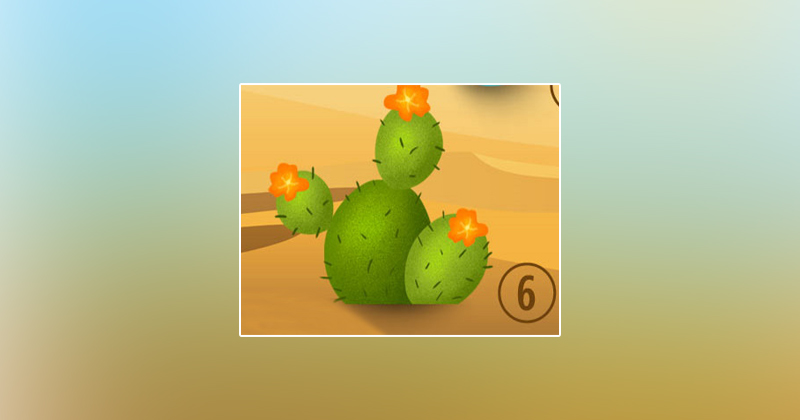 6