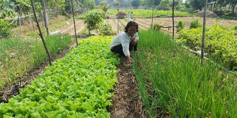 CFI Agriculture01