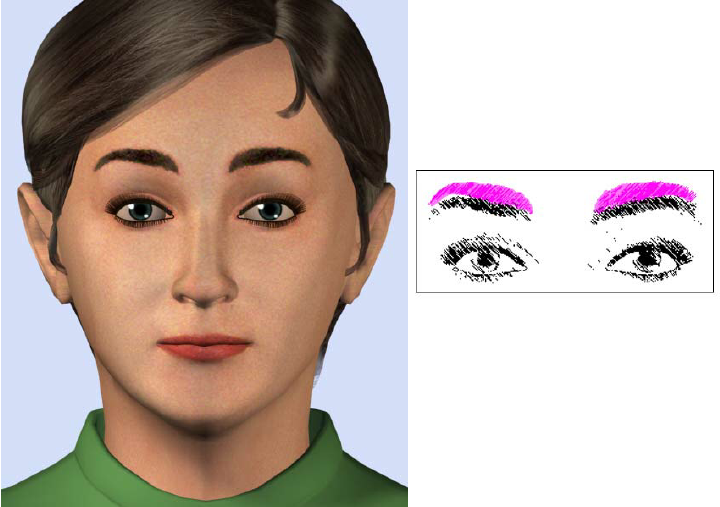 Raised Eyebrows In Comparison To Neutral The Fuchsia Areas In The Right Diagram Show The