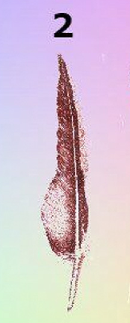 Screen Shot 2021 05 13 At 11.31.53 PM