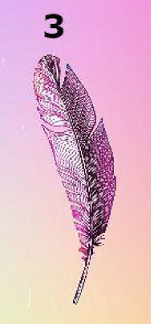 Screen Shot 2021 05 13 At 11.31.56 PM