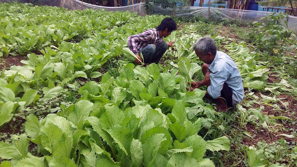 Farmers Fb.2e16d0ba.fill 960x540