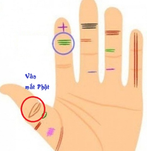 Van Mat Phat 0945