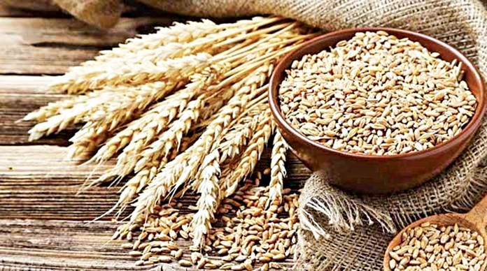 Wheat