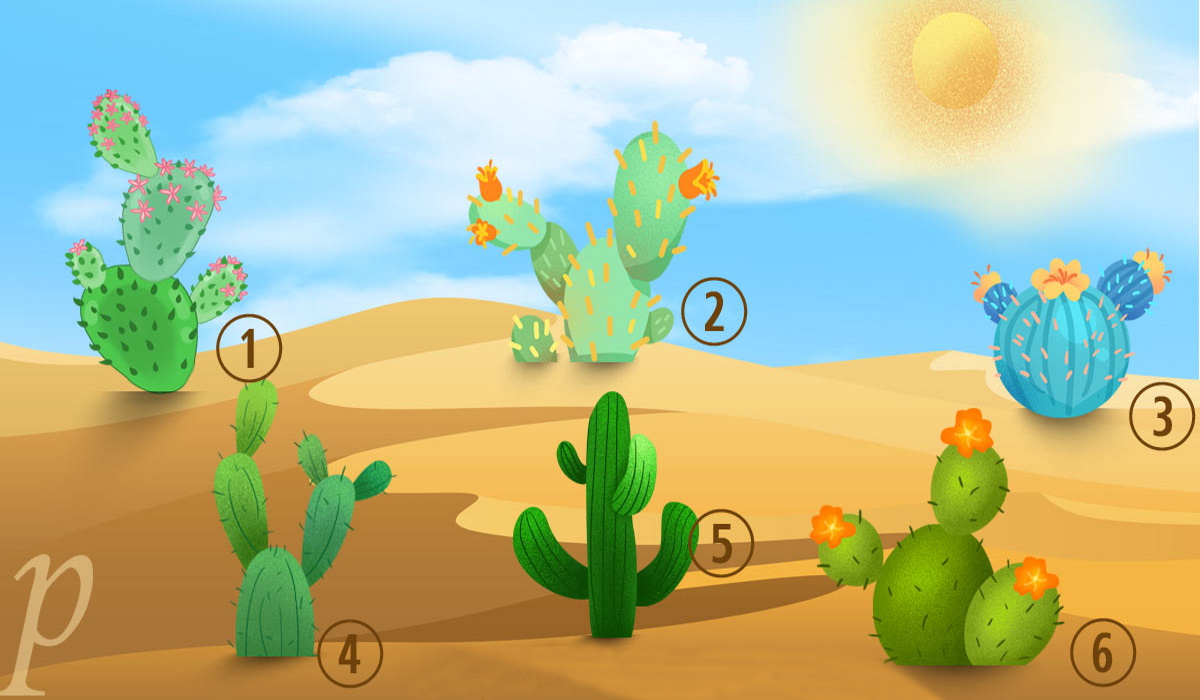 2021 06 08_km3zxtXQRV.choose A Cactus And Find Out What Your Inner Voice Says 1622048362943279488890