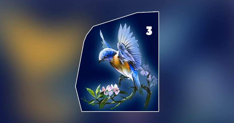 3