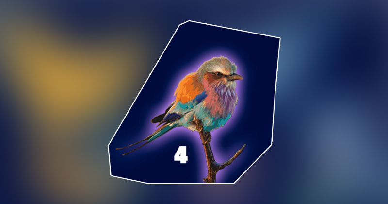 4