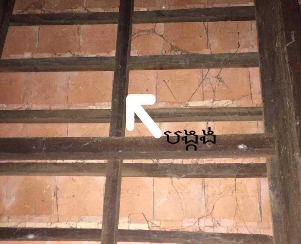 74488215_728187884361274_1413731405086588928_n