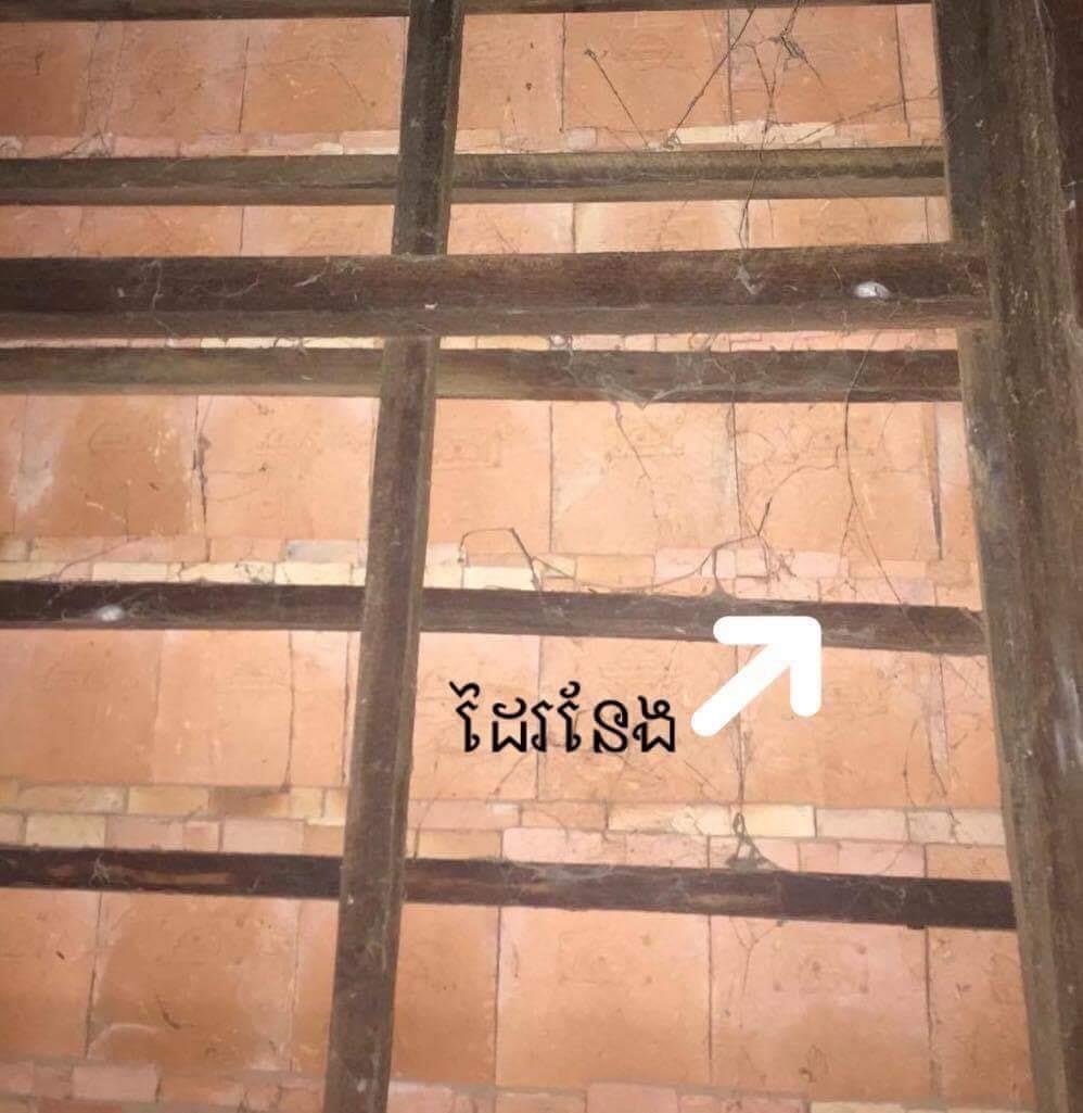 75341117_728187851027944_6479276792459821056_n