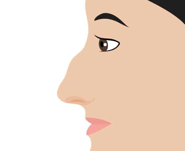 Noses_Hooked Nose 002