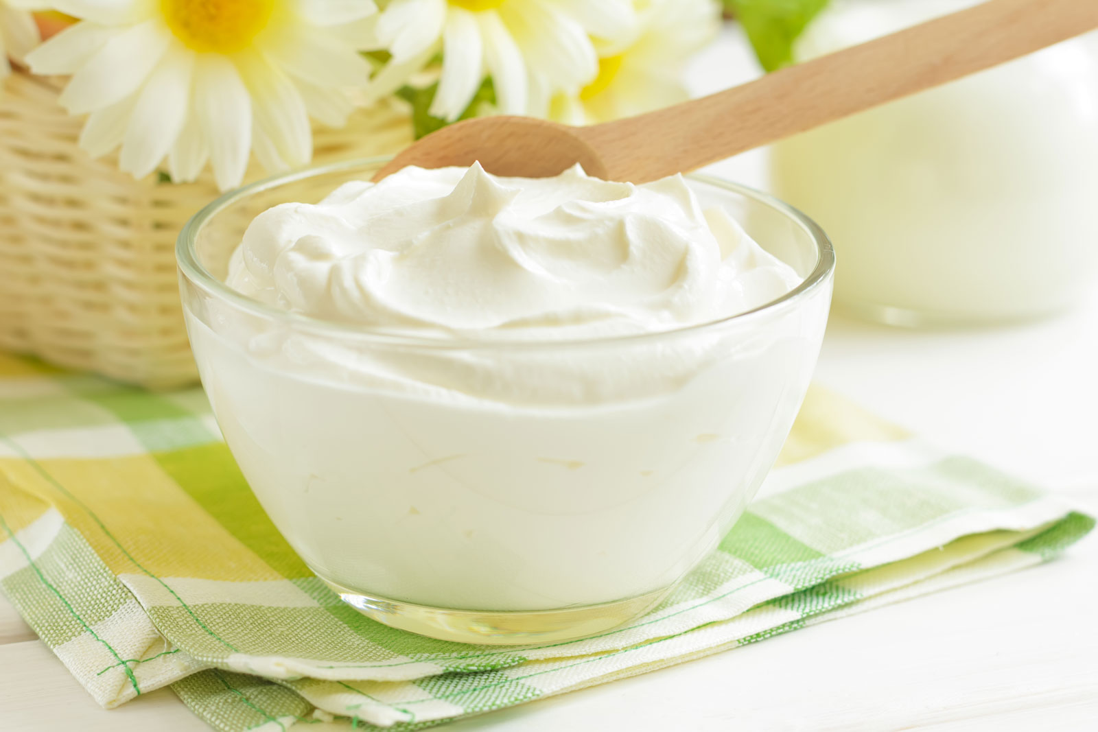 Bowl Yogurt