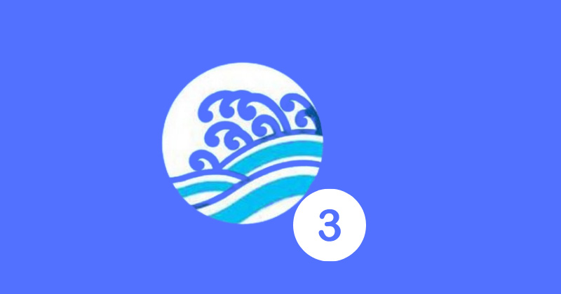 3