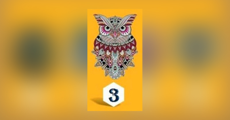 3