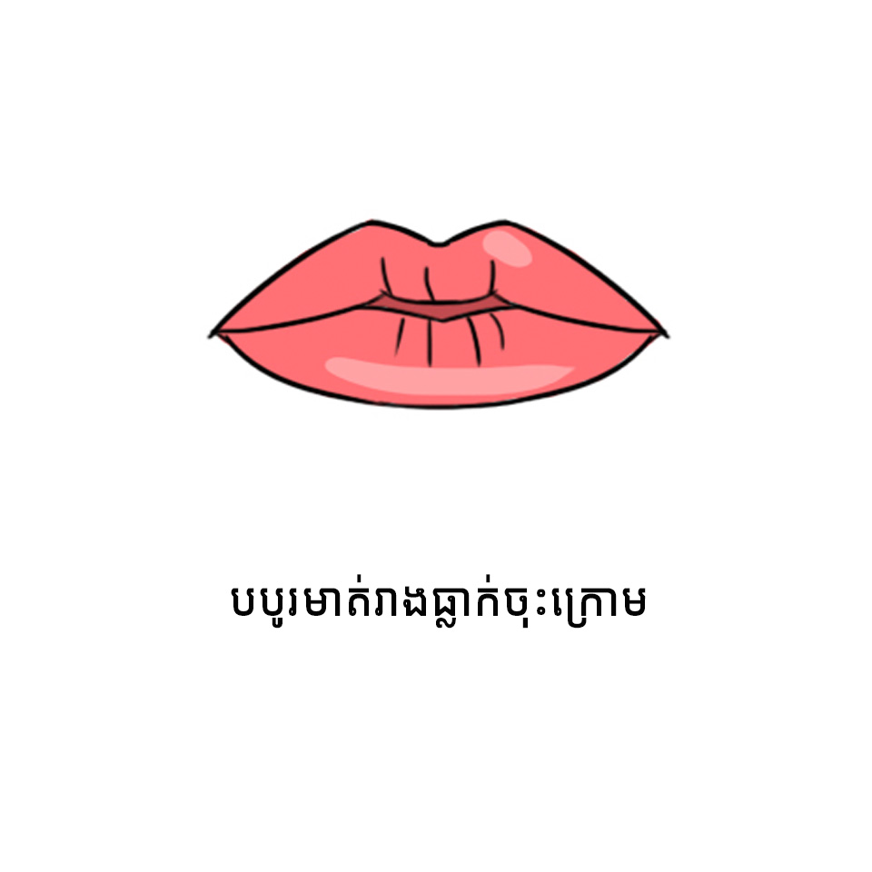 ៦