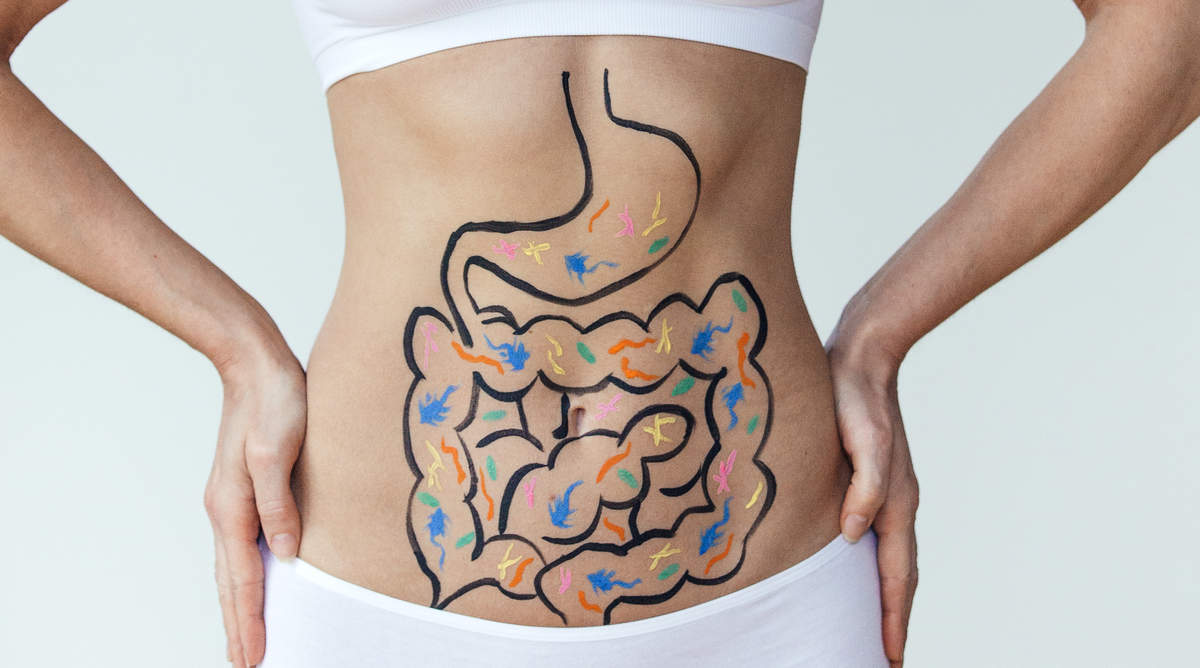 Healthy Digestive Track