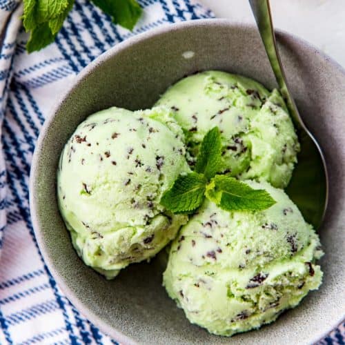 Mint Chocolate Chip Ice Cream Featured1 500x500