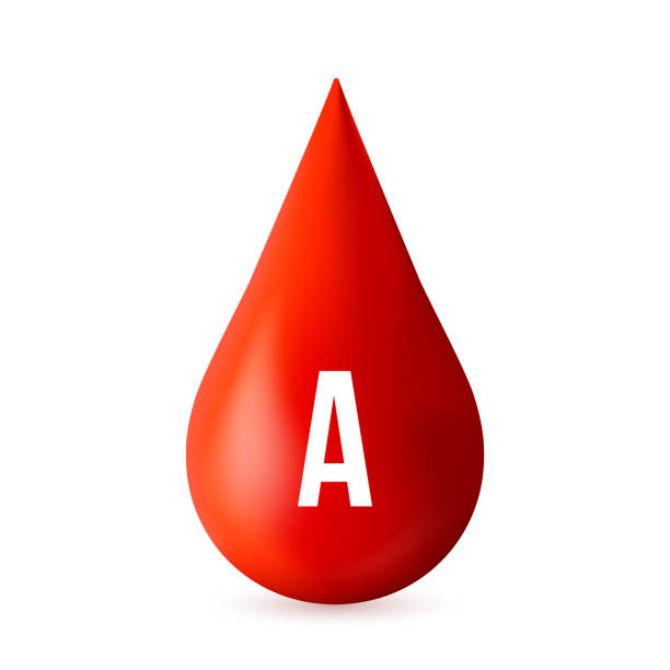 Istockphoto 1136879204 612x612