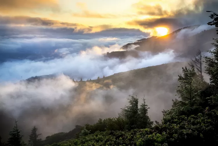 730_hills Landscape Mist Smoke Forest 889131