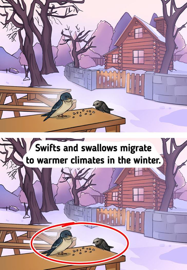 Hidden Mistake 11