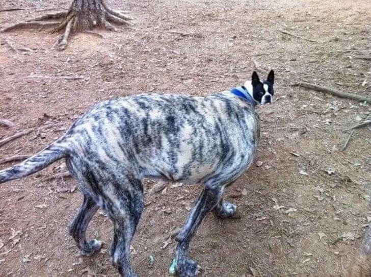 Photos That Can Make Anyone Not Believe Their Eyes 11