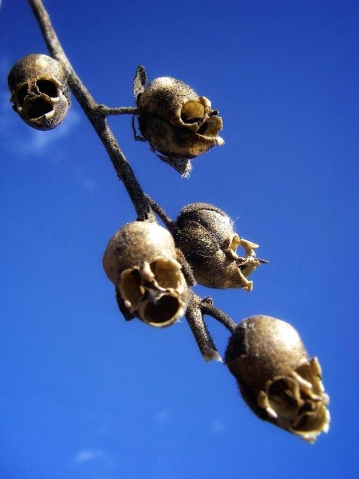 Photos That Can Make Anyone Not Believe Their Eyes 2