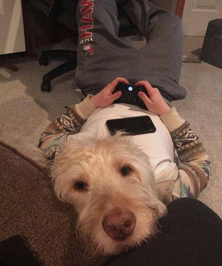 Photos That Can Make Anyone Not Believe Their Eyes 20