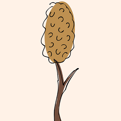 Tree3