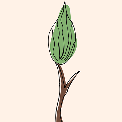 Tree8