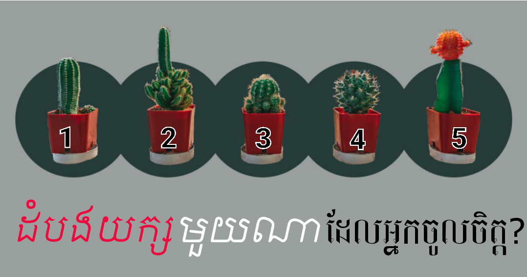 ឆុតណាស់! តេស្ដចិត្តសាស្ត្រប្រាប់ចំចំគ្មានលាក់លៀម ថាអ្នកជាមនុស្សបែបណា មានចំណុចពិសេសត្រង់ណា?